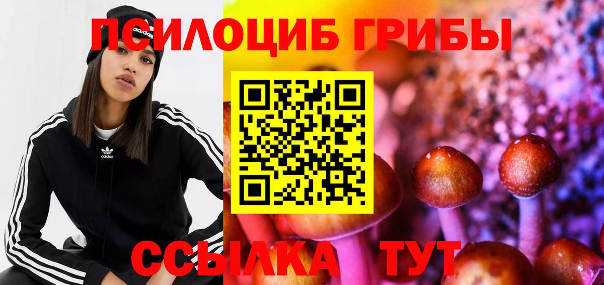 Псилоцибиновые грибы MAGIC MUSHROOMS Апшеронск