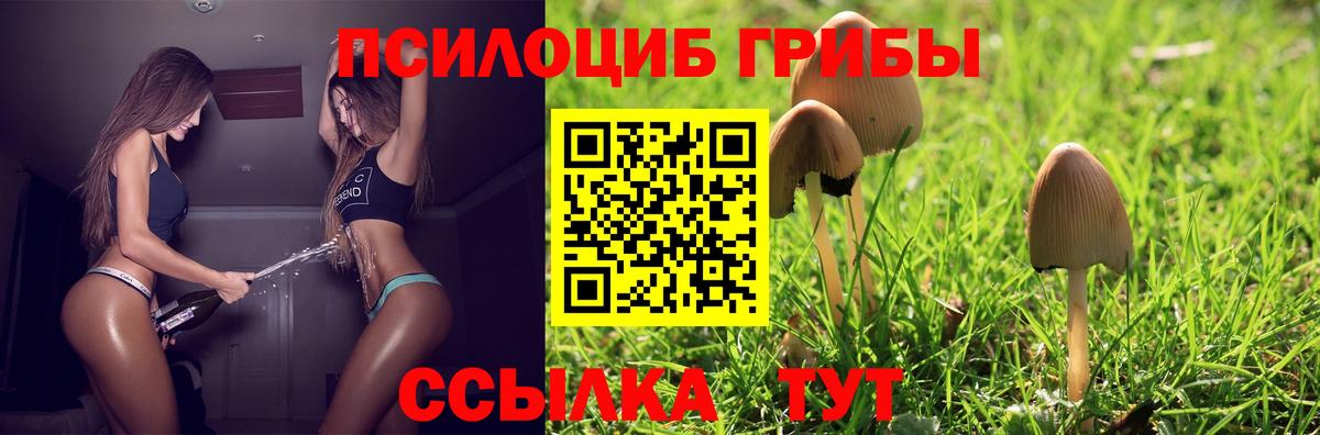даркнет сайт  Псилоцибиновые грибы MAGIC MUSHROOMS  Вход с VPN  Апшеронск  Псилоцибиновые грибы ЛСД 